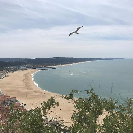 Duplex Apartment Nazare Exterior photo